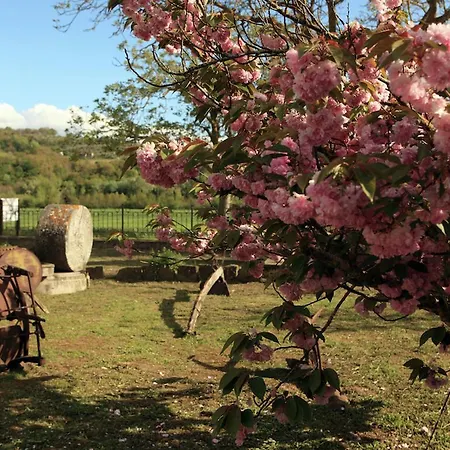 Kır Evi Podere Oglieto Primo Piano Corbara (Umbria)