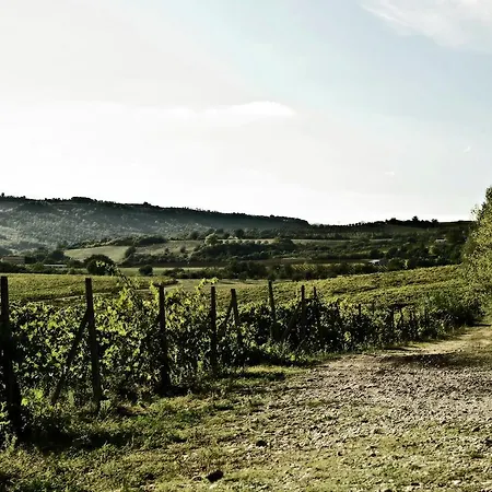 Kır Evi Podere Oglieto Primo Piano *
