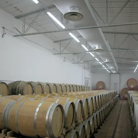 Podere Oglieto Primo Piano * Corbara (Umbria)