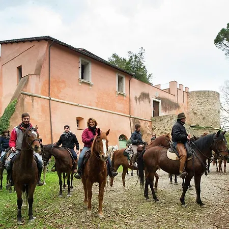 Podere Oglieto Primo Piano